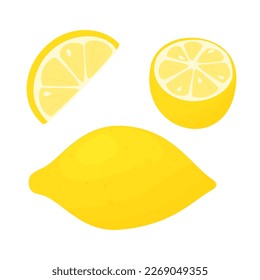 set of vivid doodle lemon slices and pieces 