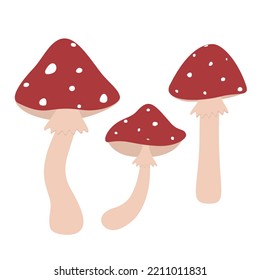 set of vivid fly agaric mushrooms