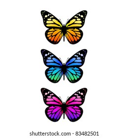 set of vivid multicolored butterflies