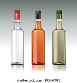 Set of vodka bottles.Vector illustration