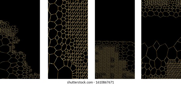 Set of Voronoi Diagram Patterns Textures - Gold and Black Background