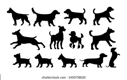 Set walking and standing dog silhouette. Shepherd, beagle, great dane, dachshund, poodle, pit bull. . Vector black flat icon isolated on white background.
