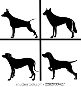 Set walking and standing dog silhouettes. Shepherd, beagle, great dane, dachshund, poodle, pit bull. . Vector black flat icon isolated on white background.