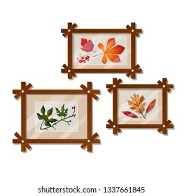 A set of wall-mounted compositions with autumn dried leaves isolated on white background. Vector cartoon close-up illustration.