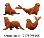 Set of walrus in different poses. Vector cartoon illustration