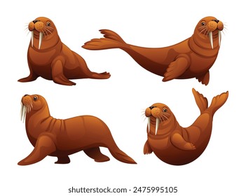 Set of walrus in different poses. Vector cartoon illustration
