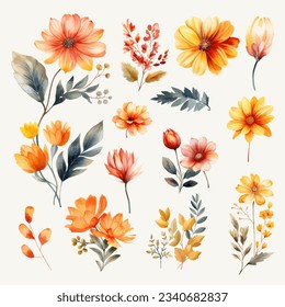 Set of warm autumn flower watercolor