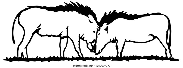 Set of Warthog Fighting wild pig Black silhouette vector