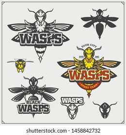 Set of Wasp labels, badges, icons and design elements. Dangerous stinging insects collection. Sport club emblems. Print design for t-shirt.