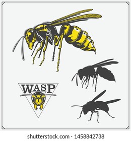 Set of Wasp labels, badges, icons and design elements. Dangerous stinging insects collection. Sport club emblems. Print design for t-shirt.