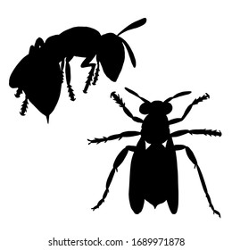 Set of wasp silhouettes from different angles on an isolated white background. Insect logo. Stock vector illustration.