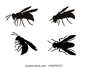 Set of wasps isolated on white. Vector illustration.
