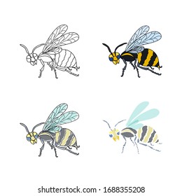 Set of wasps. Lineart, colored, painted. Vector nature illustration.
