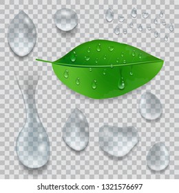 Set of water Drops and green leaf with dew drops isolated on transparent background. Vector illustration.