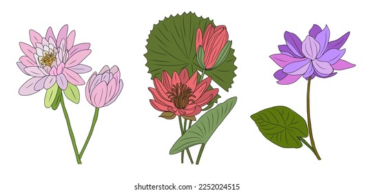 Set of Water lily July birth month flower colorful vector illustrations. Modern hand drawn design for logo, tattoo, packaging, card, wall art, poster. Colored line art isolated on white background.