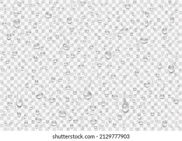 Set water rain drops, pure droplets condensed on transparent background. Realistic vector illustration bubbles on window glass. Design for poster, banner, concept