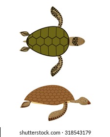 set Water turtle. Side view and top species. Deep-sea animals. Marine reptiles with shells. Vector illustration
