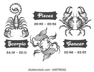 Set of Water Zodiac signs. Scorpion, Fishes and Cancer drawn in engraving style. Vector illustration.