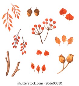 Set of watercolor autumn elements. Hand drawn leaves, acorns and berries can be used for printing onto fabric and paper or scrap booking.