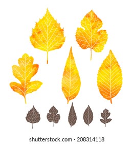 Set of watercolor autumn leaves