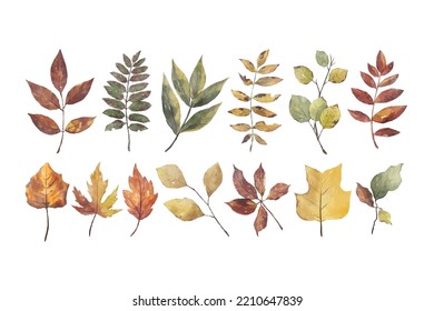 Set of Watercolor Autumn Leaves