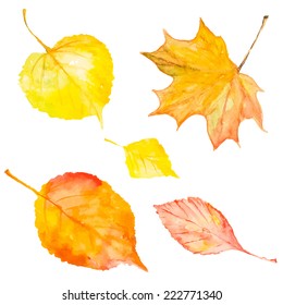 Set of watercolor autumn leaves. Vector illustration.