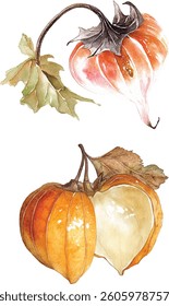  set of Watercolor Autumn Pumpkin with Leaf vector illustration