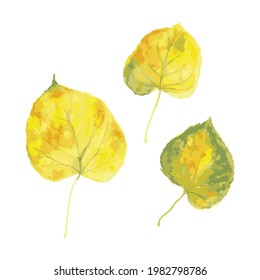 Set of watercolor beautiful autumn leaves. Template for banner, poster, packaging, postcard, web design. Hand Drawn vector illustration.