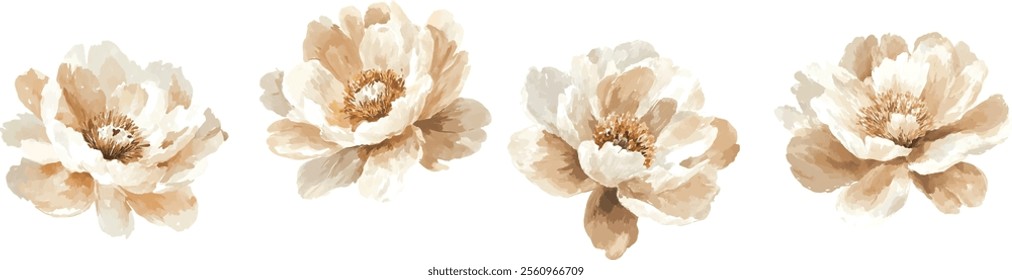 Set of Watercolor beige peony flower clipart in pastel neutral tones on a white background.

