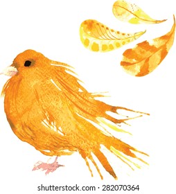 set - watercolor bird canary, hand-drawn sketch of the technique , and feathers