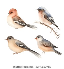 Set of watercolor birds isolated on white background, natural illustration, vector collection