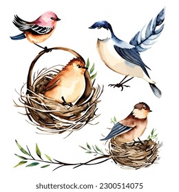 Set of watercolor birds nest vector illustration