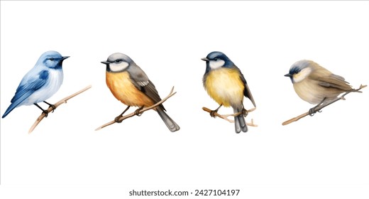 set of watercolor birds on a white background