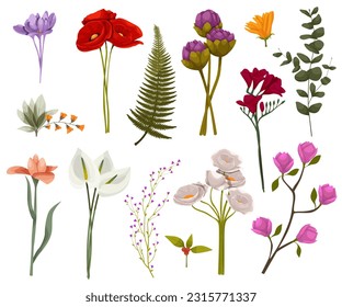 Set watercolor botanic blossom floral elements. Branches, leaves, herbs, wild plants, flowers. Garden and wild foliage, flowers, branches. Isolated vector illustration EPS10