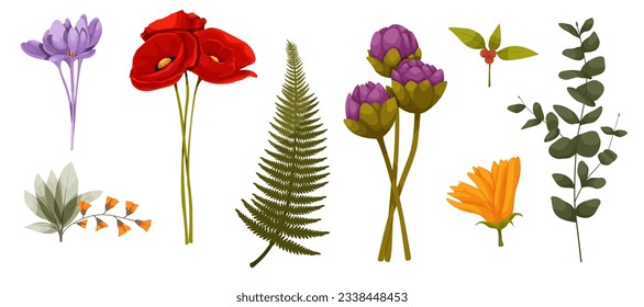 Set watercolor botanic blossom floral elements. Branches, leaves, herbs, wild plants, flowers. Garden and wild foliage, flowers, branches. Isolated vector illustration EPS10