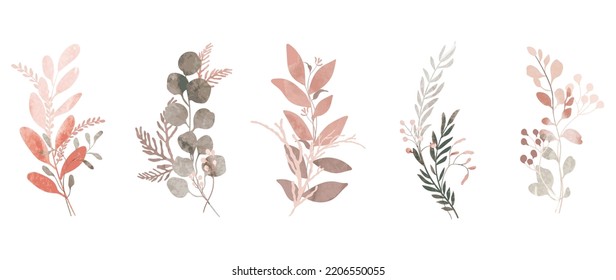 Conjunto de vector de elemento botánico acuarela. Colección otoñal de ramas foliares, hojas de eucalipto, flores, bayas, hojas de pino. Elegante colección de otoño para bodas, invitación, decoración, carta.