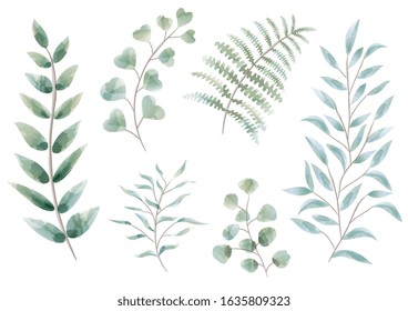 Set of watercolor botanical elements isolated on a white background. Vector illustration. 