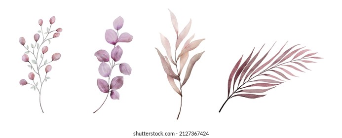 Set of watercolor botanical leaves elements. Collection leaf watercolor painting vector isolated on white background suitable for Wedding Invitation, save the date, or greeting card.