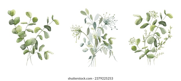 Set of watercolor bouquets of green leaves branches elements. Collection botanical vector isolated on white background suitable for Wedding Invitation, save the date, thank you, or greeting card.