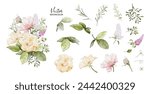 Set of watercolor bouquets with peony flower elements. Collection botanical vector isolated on white background suitable for Wedding Invitation, save the date, thank you, or greeting card.