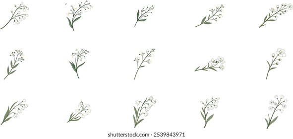 A set of watercolor branches of white gypsophila png. Delicate white gypsophila flowers with green stems on transparent isolated background. Element for invitations, flower arrangements.