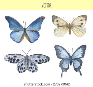 Set of watercolor butterflies. Vector