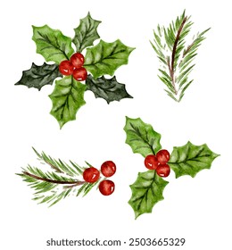 Set of Watercolor Christmas decorations with fir tree, branches and holly berries. Design elements