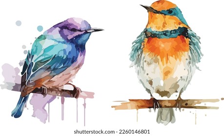 Set of Watercolor Colorful Birds Vector Design