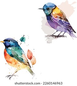 Set of Watercolor Colorful Birds Vector Design