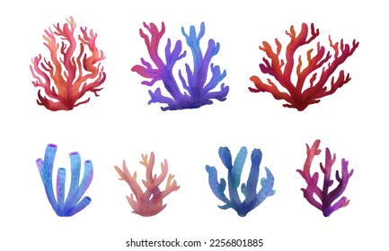 Set of Watercolor colorful corals closeup on white background. Hand painting on paper