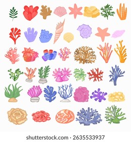 Set of watercolor coral element stock.Set of vector watercolor seaweed and corals isolated on white. Sea theme, design element, decoration of water entertainment places,