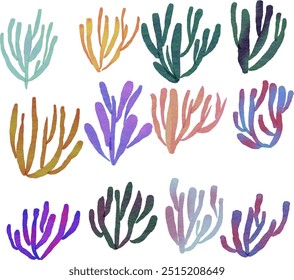 Set of Watercolor Coral Illustration. COral. Coral Reef