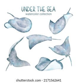 set of watercolor cute animal and plant Marine life under sea vector illustration. Cartoon ocean marine scenes isolated for aquarium or sea waters collection