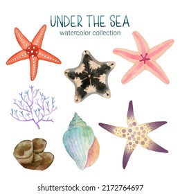 set of watercolor cute animal and plant Marine life under sea vector illustration. Cartoon ocean marine scenes isolated for aquarium or sea waters collection